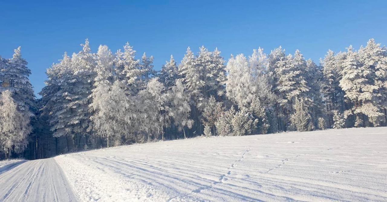 Ostoja Bukowo 12,2 Chata U Szoltesa Borowy Mlyn 외부 사진